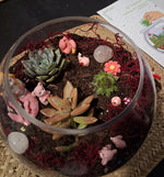 Terrarium Making Experience
