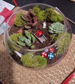 Terrarium Making Experience