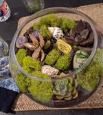 Terrarium Making Experience