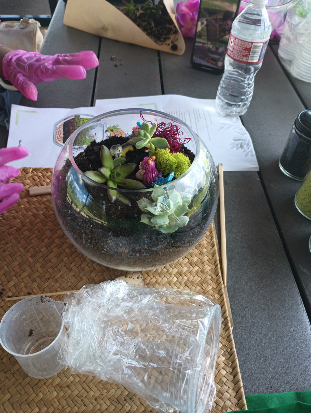 Terrarium Making Experience