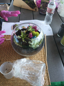 Terrarium Making Experience