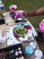 Terrarium Making Experience