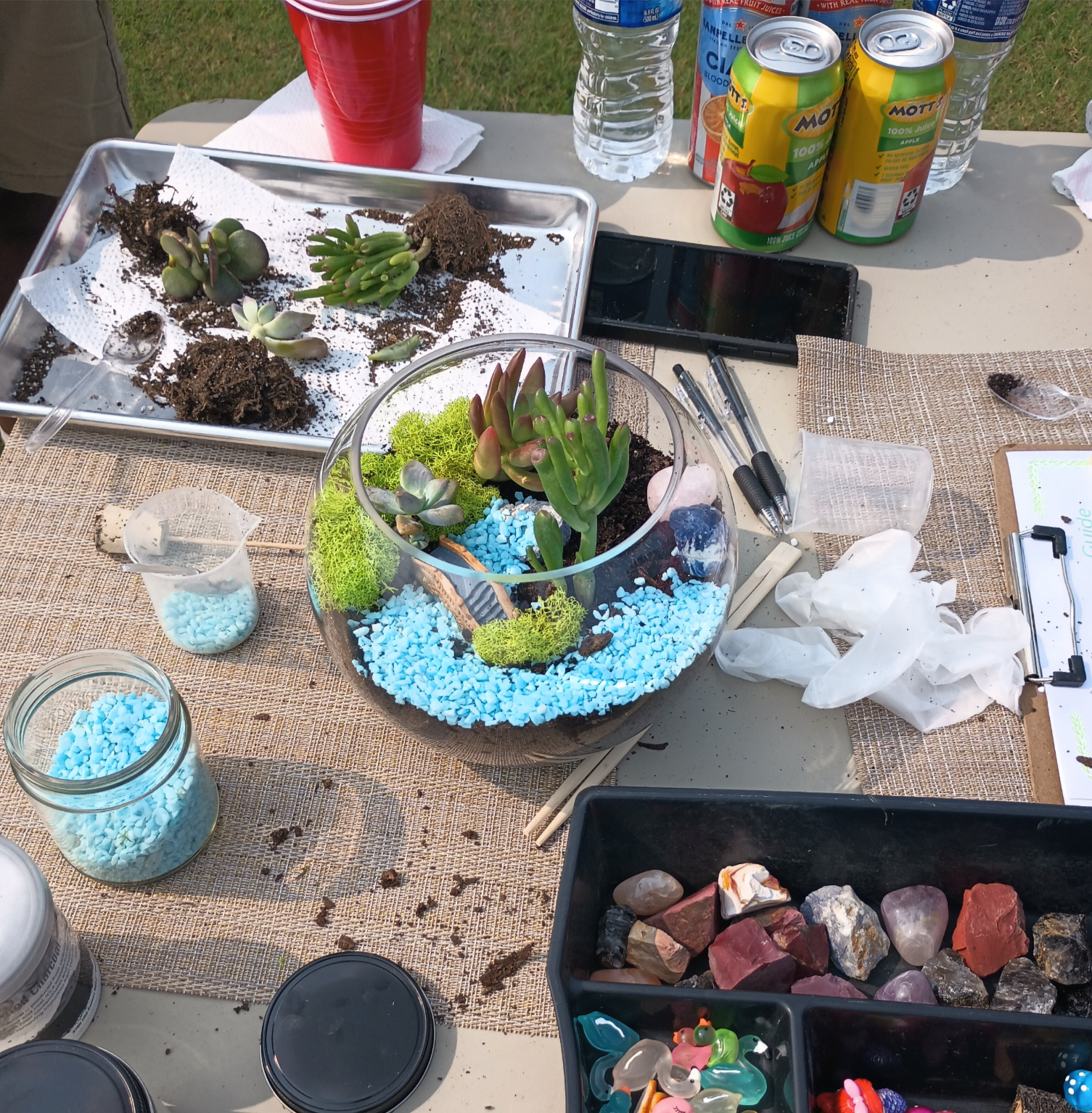 Terrarium Making Experience
