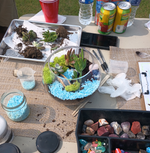Terrarium Making Experience