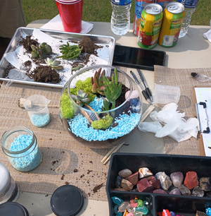 Terrarium Making Experience