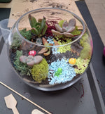 Terrarium Making Experience