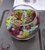 Terrarium Making Experience