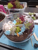 Terrarium Making Experience