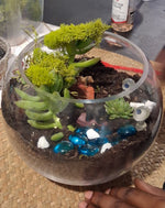 Terrarium Making Experience